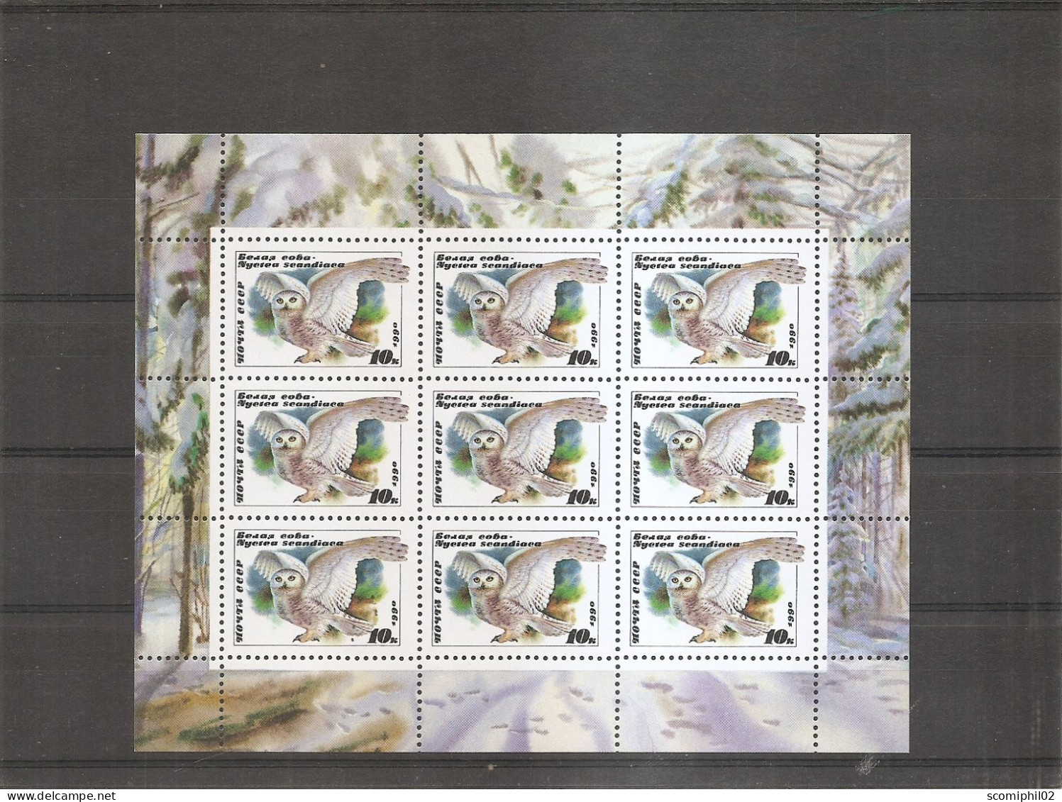 Russie - Oiseaux ( 3725 En Feuille XXX -MNH ) - Volledige Vellen