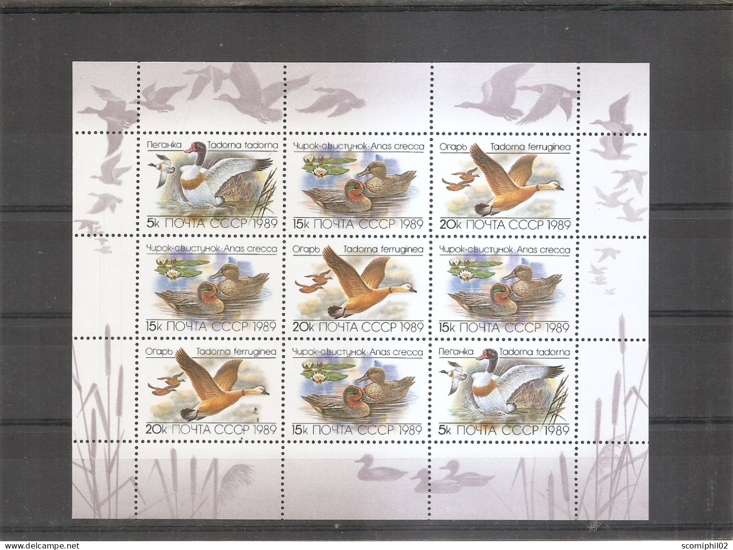 Russie - Oiseaux ( 5641/5643 En Feuille XXX -MNH ) - Ganze Bögen