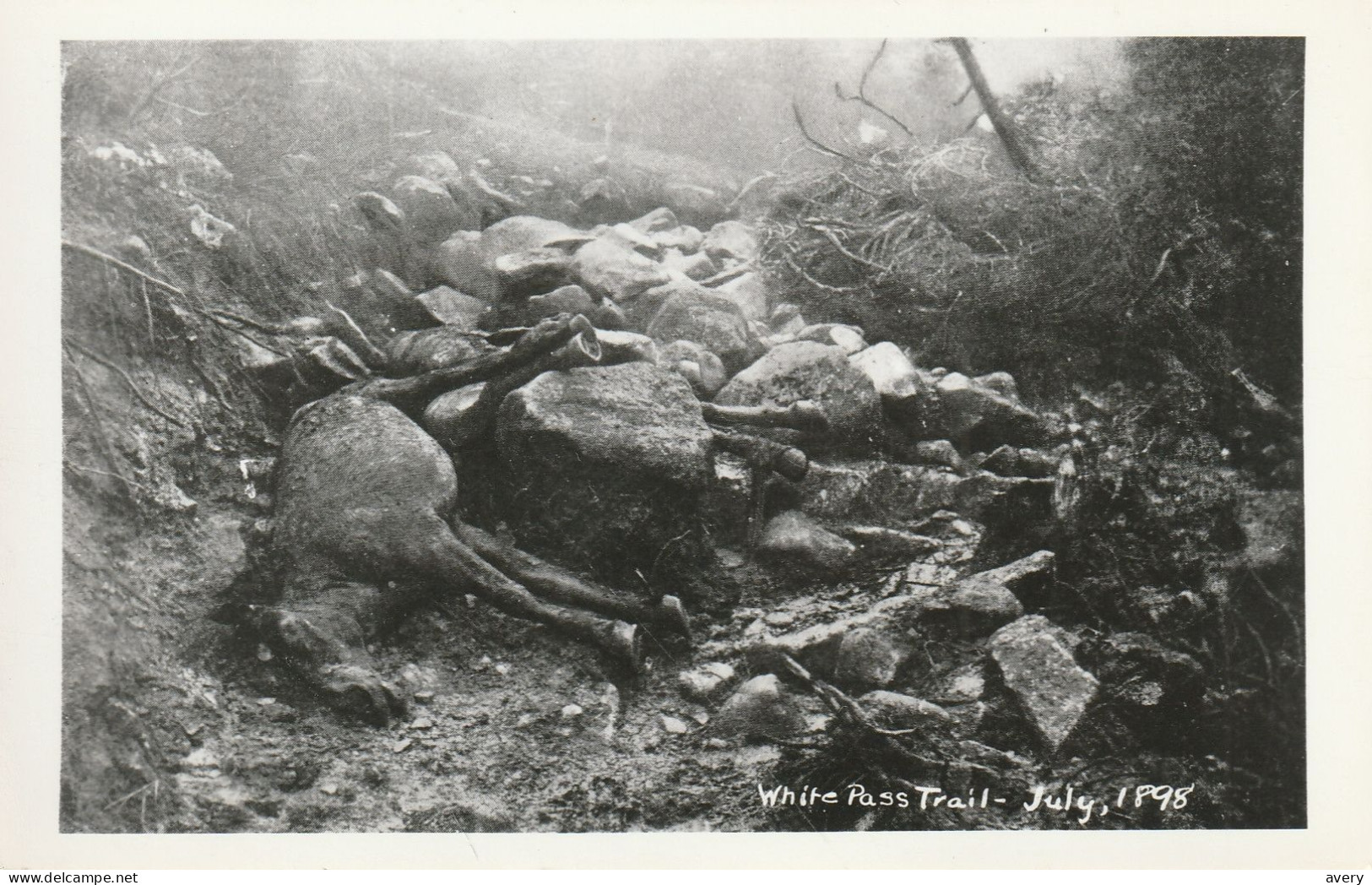 White Pass Trail - July, 1898, Yukon - Yukon