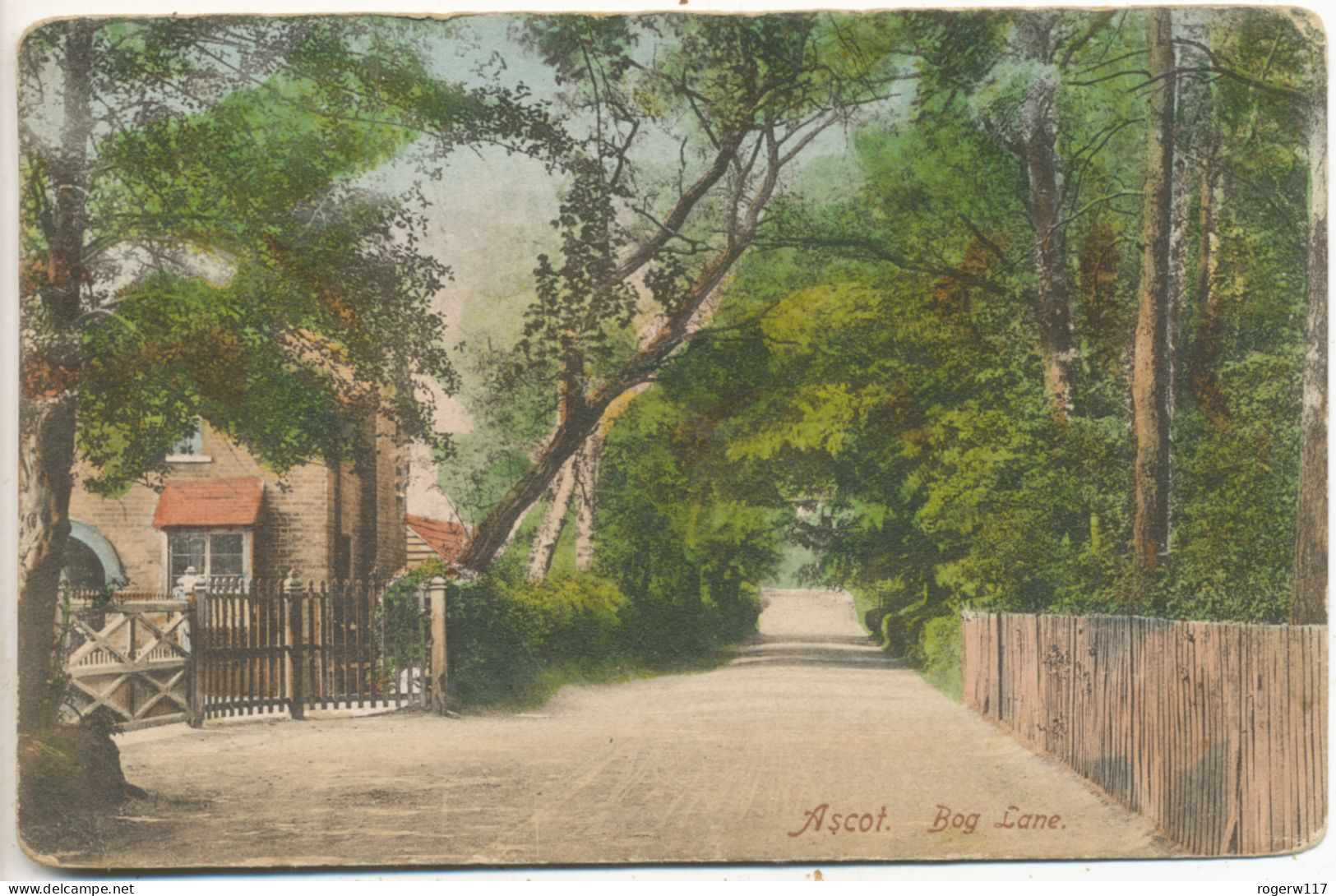 Ascot, Bog Lane, 1905 Postcard - Buckinghamshire