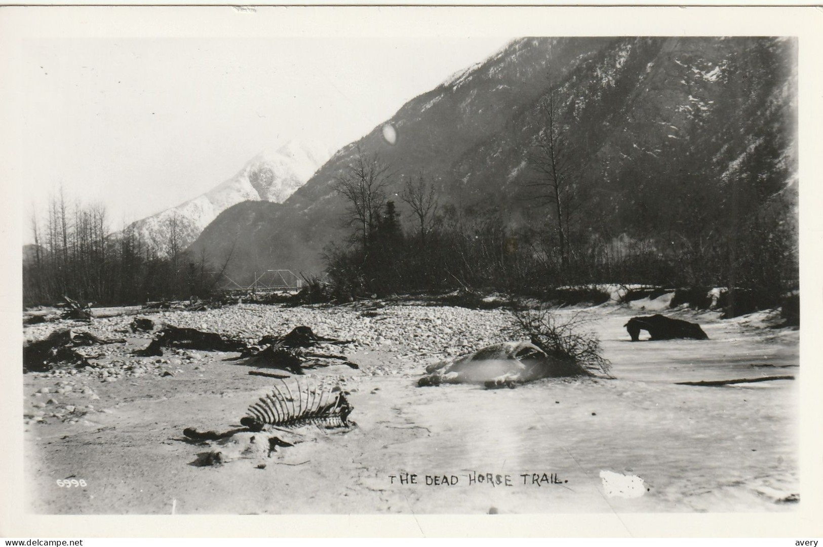 The Dead Horse Trail, Yukon - Yukon