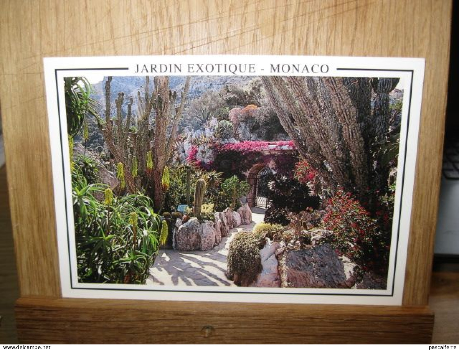 JARDIN EXOTIQUE - Exotic Garden