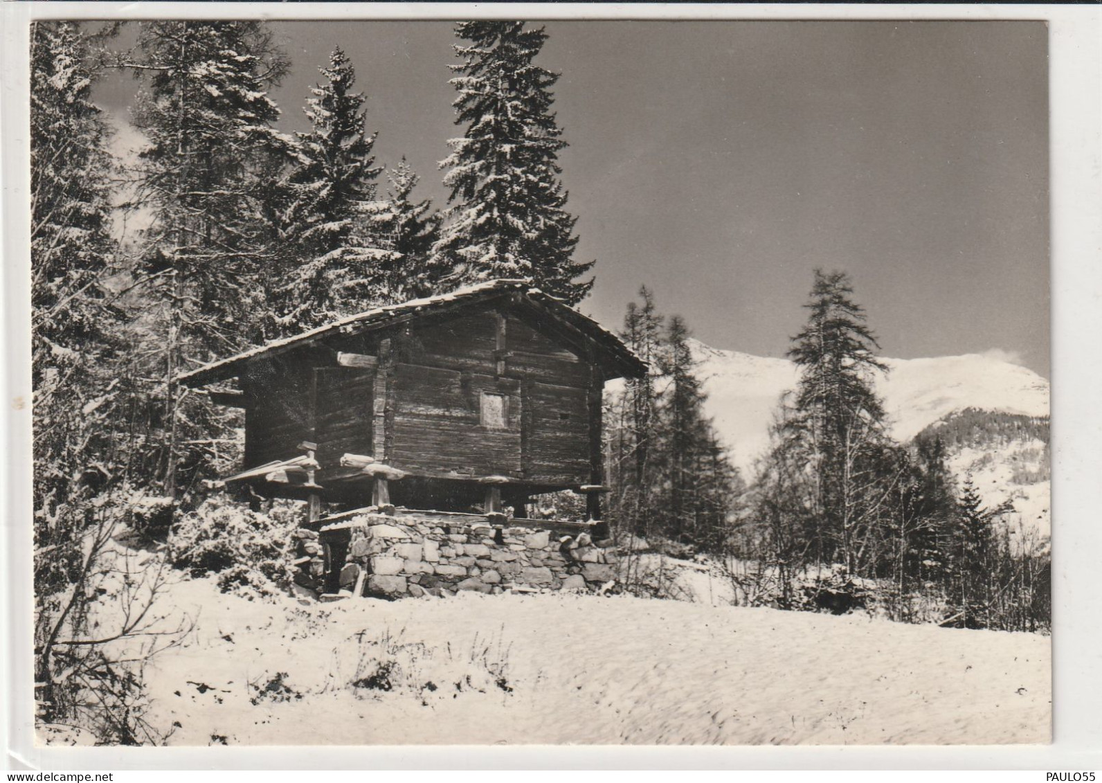 STADEL FERIENDORF FIESCH - Fiesch