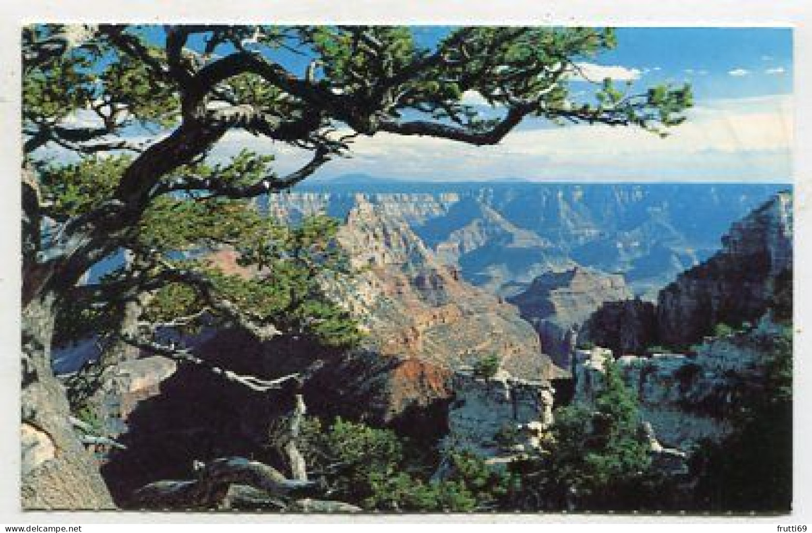 AK 196174 USA - Arizona - Grand Canyon From North Rim - Gran Cañon