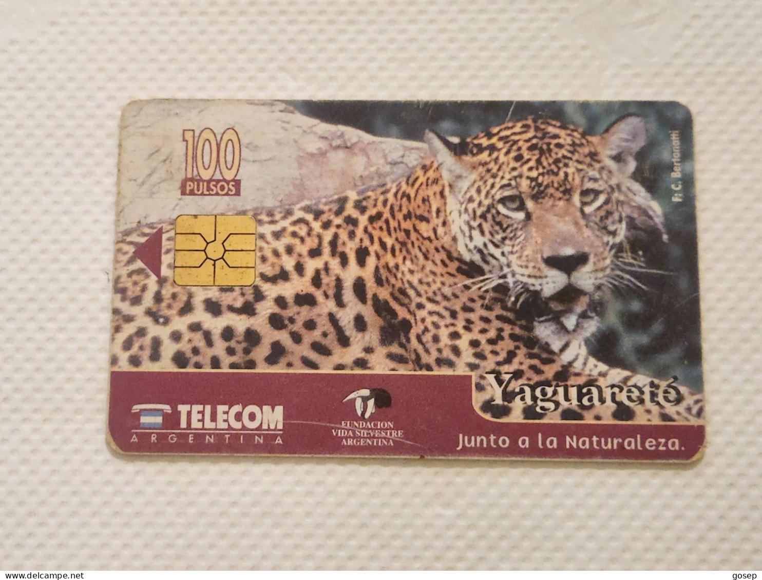 ARGENTINA-(AR-TLC-0072Aa)-Yaguarete-Tarjeta 2 (G69)-(10)-(1/10/1996)-(100units)-(031117684G69)-tirage-250.000-used - Argentina