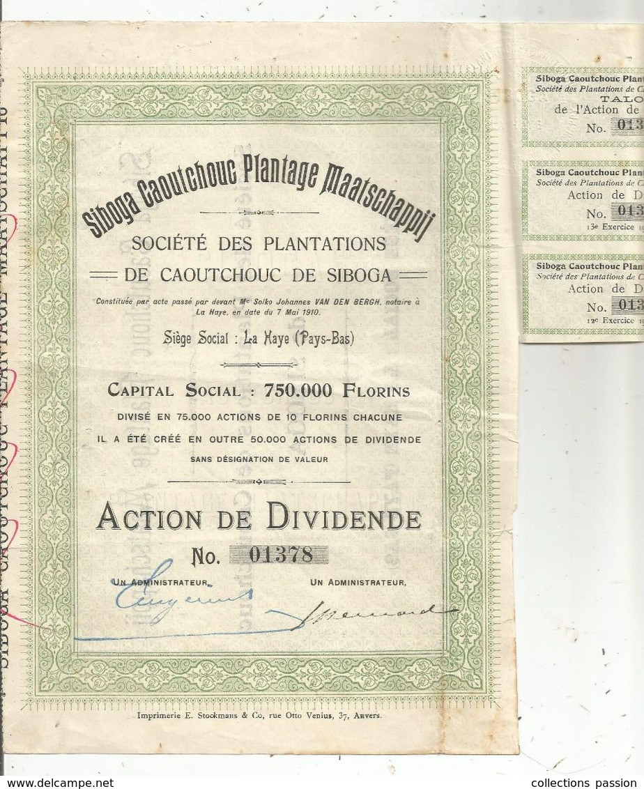 Action De DIVIDENDE , Siboga Caoutchouc Plantage Maatschappij, La Haye , Pays Bas,1910 , Frais Fr 1.95 E - Sonstige & Ohne Zuordnung