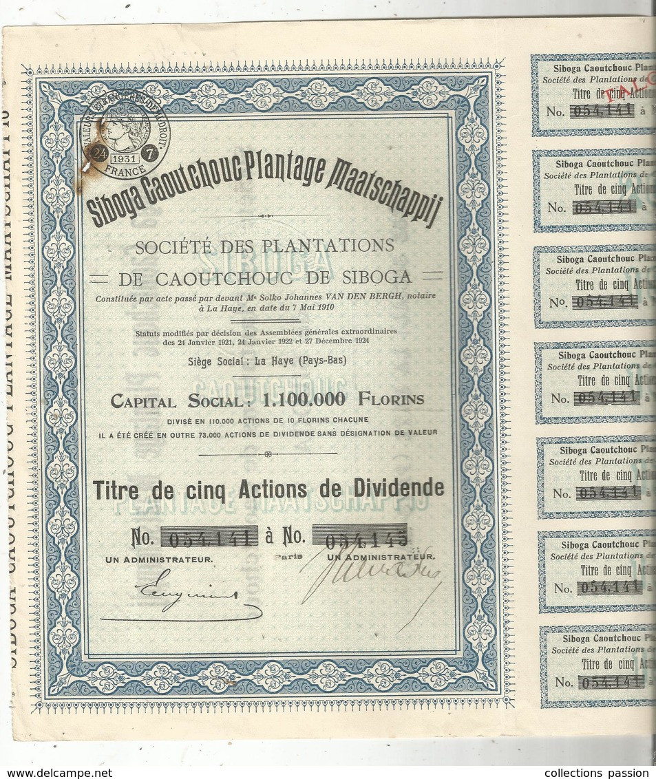 Titre De Cinq Actions , Siboga Caoutchouc Plantage Maatschappij, La Haye , Pays Bas,1931 , Frais Fr 1.95 E - Sonstige & Ohne Zuordnung