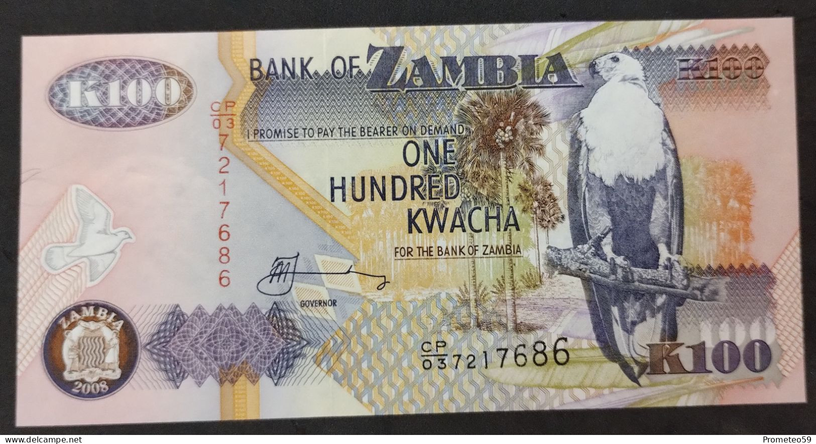 Zambia – Billete Banknote De 100 Kwacha – 1992/2006 - Sambia