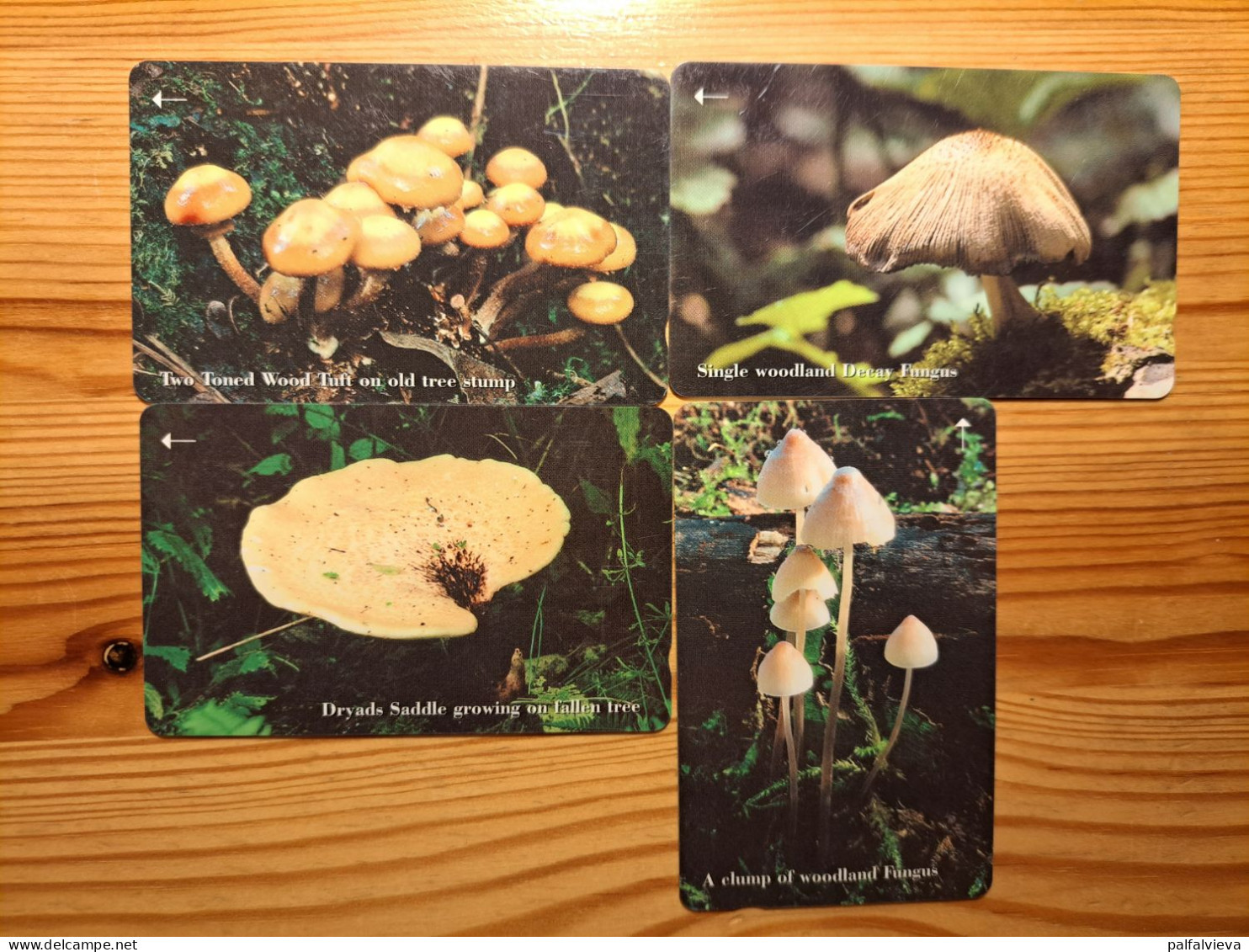 Phonecard Set Jersey 71JERA-D - Mushroom - [ 7] Jersey And Guernsey