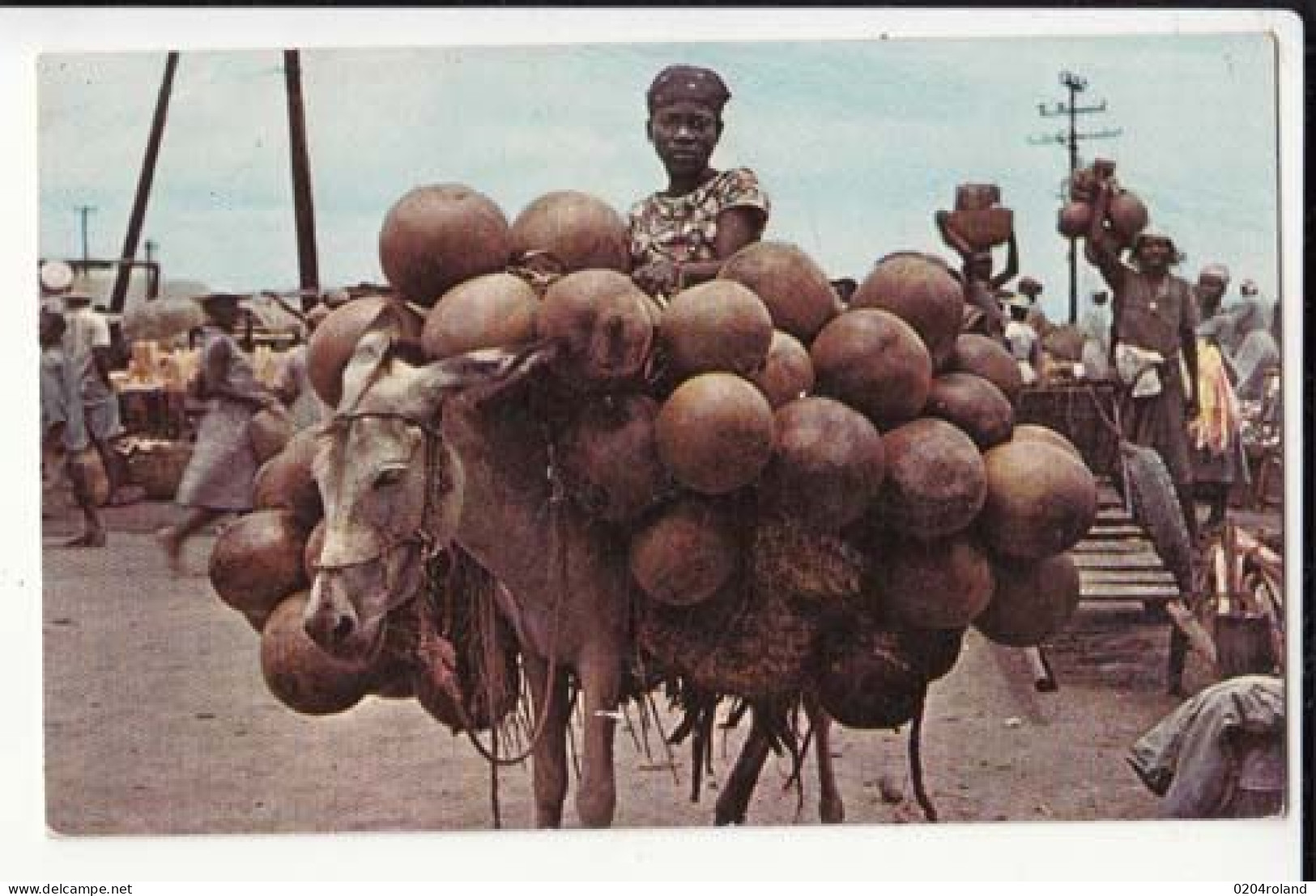 Carte  - Antilles -  Haiti - Port Au Prince  - Calabashes ( Or Gourds ) Seller - Prix Fixe - Haiti