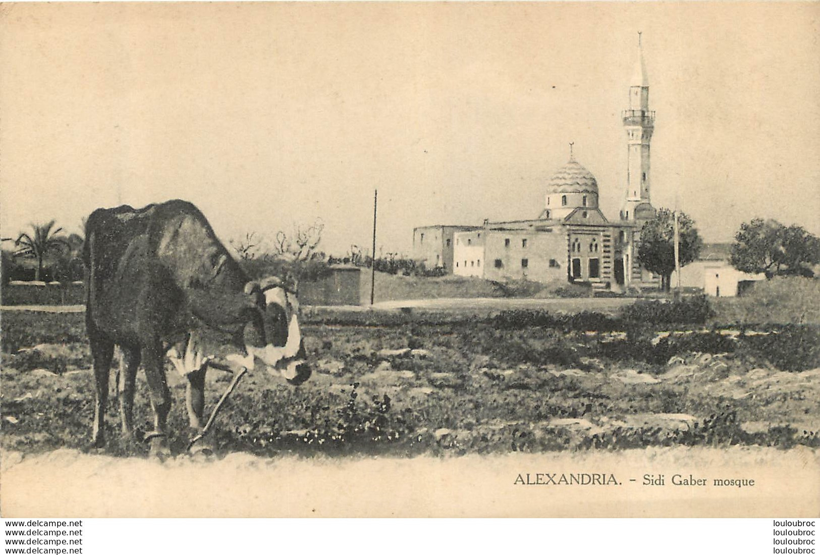 ALEXANDRIA SIDI GABER MOSQUE - Alexandrie