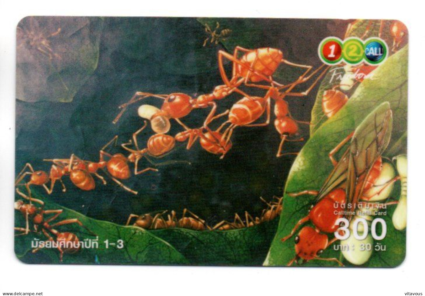 Fourmi Fourmis Insecte Carte Prépayée Thaïlande  Card ( S 1000) - Tailandia