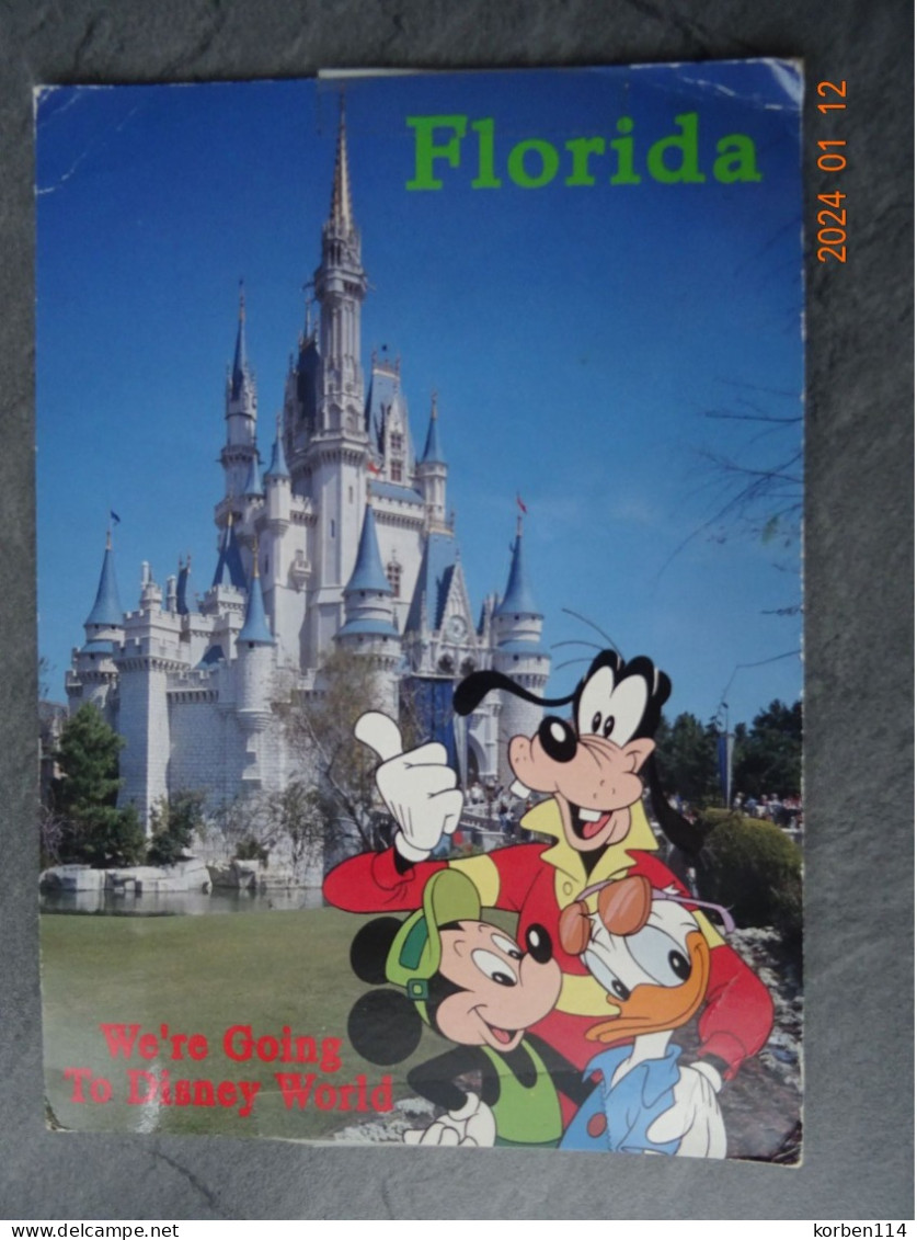 WE'RE GOING TO DISNEY WORLD  GROTE KAART   18,00  X 12,50  CM. - Disneyworld