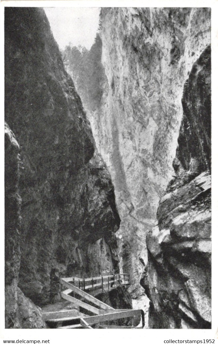 DORNBIRN, ALPLOCHSCHLUCHT, ALPLOCH GORGE, MOUNTAIN, AUSTRIA, POSTCARD - Dornbirn