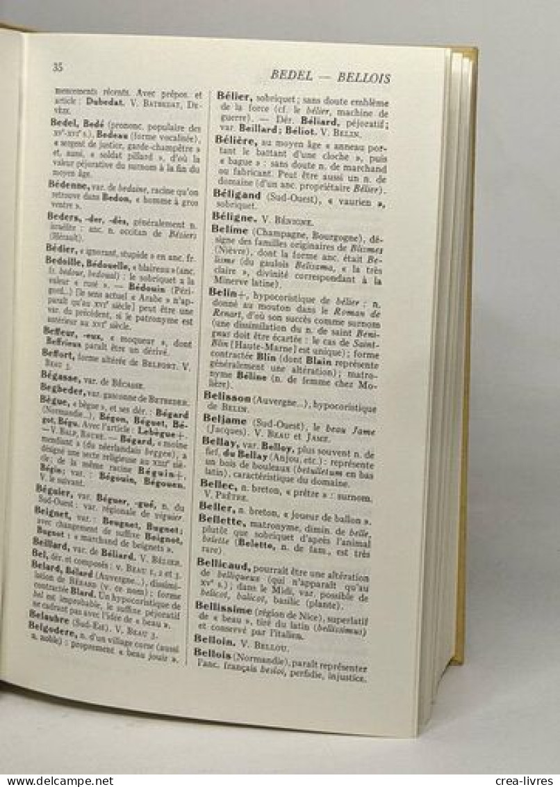 Dictionnaire Des Noms De Famille Et Prénoms De France - Dictionnaires