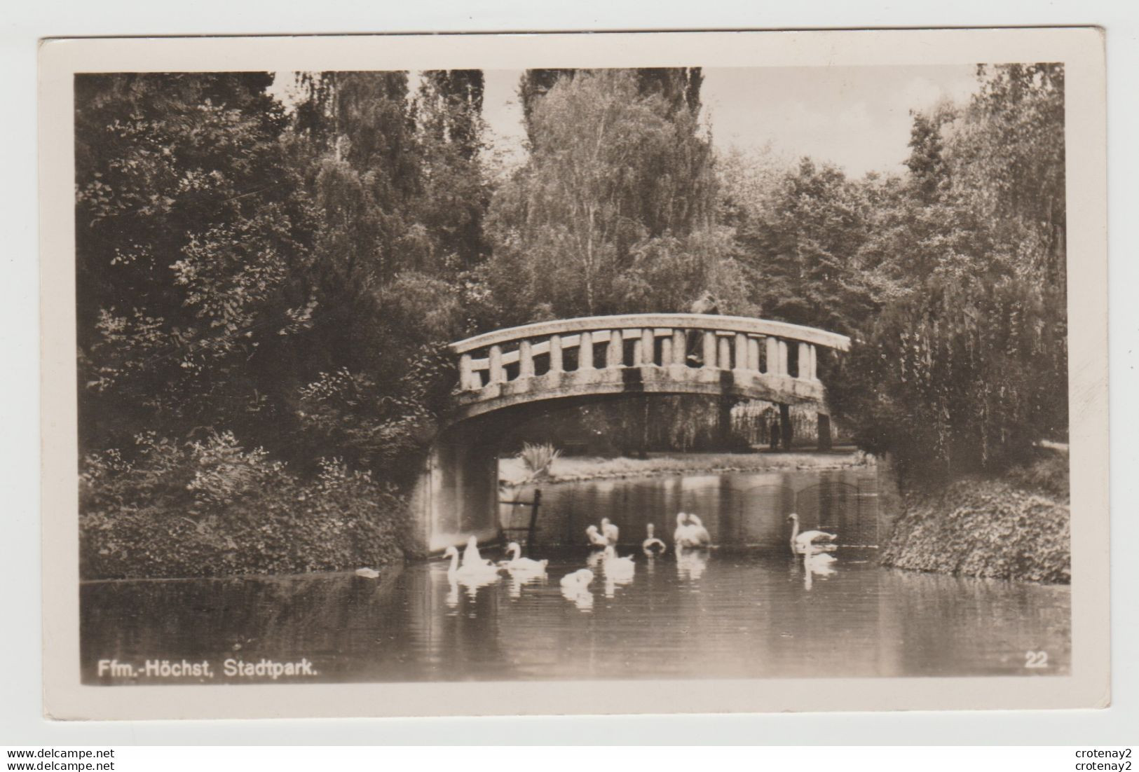 Höchst Stadtpark Pont Ou Passerelle Oiseaux Cygnes VOIR DOS - Hoechst