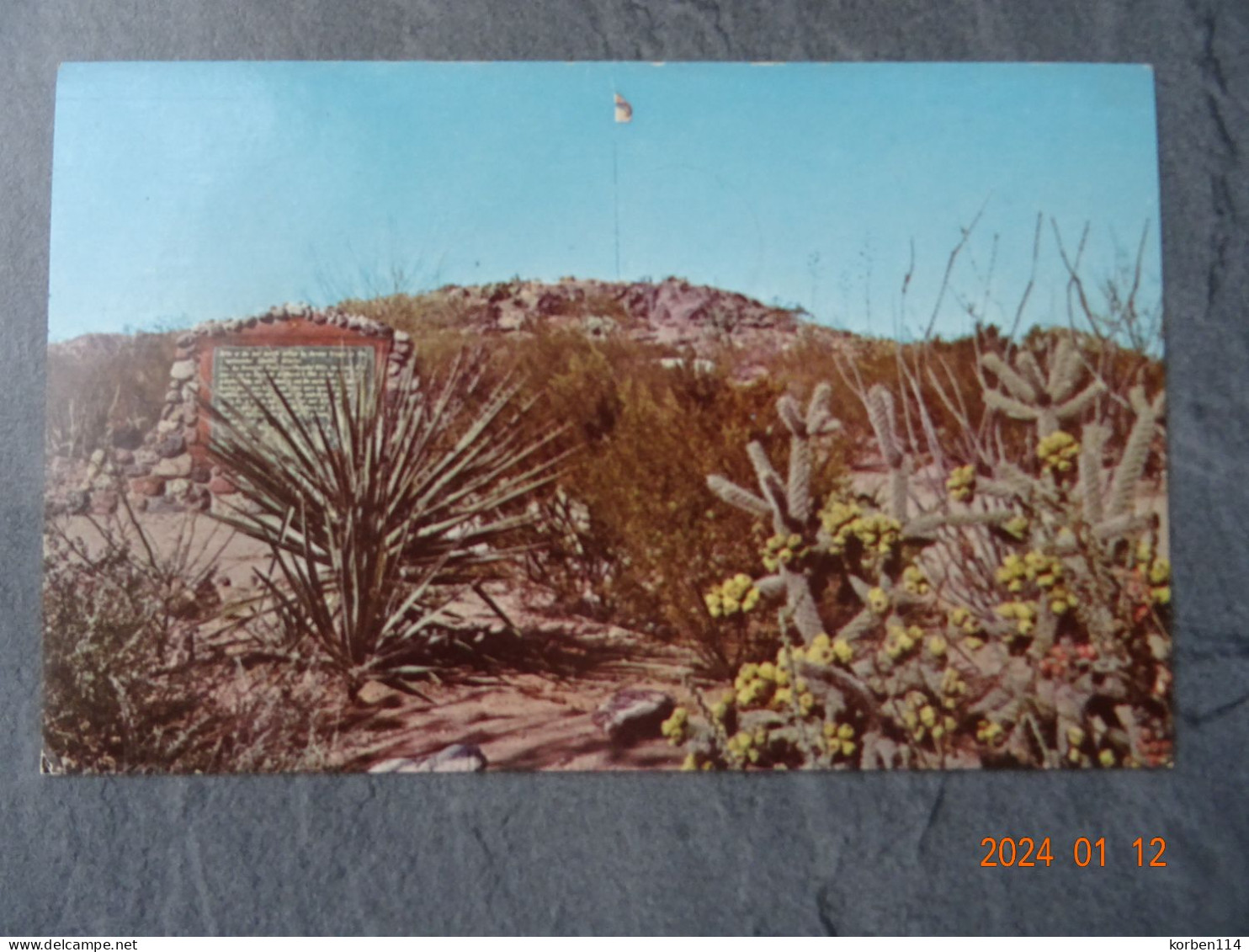 "  PANCHO VILLA STATE PARK  "  DEMING - Other & Unclassified
