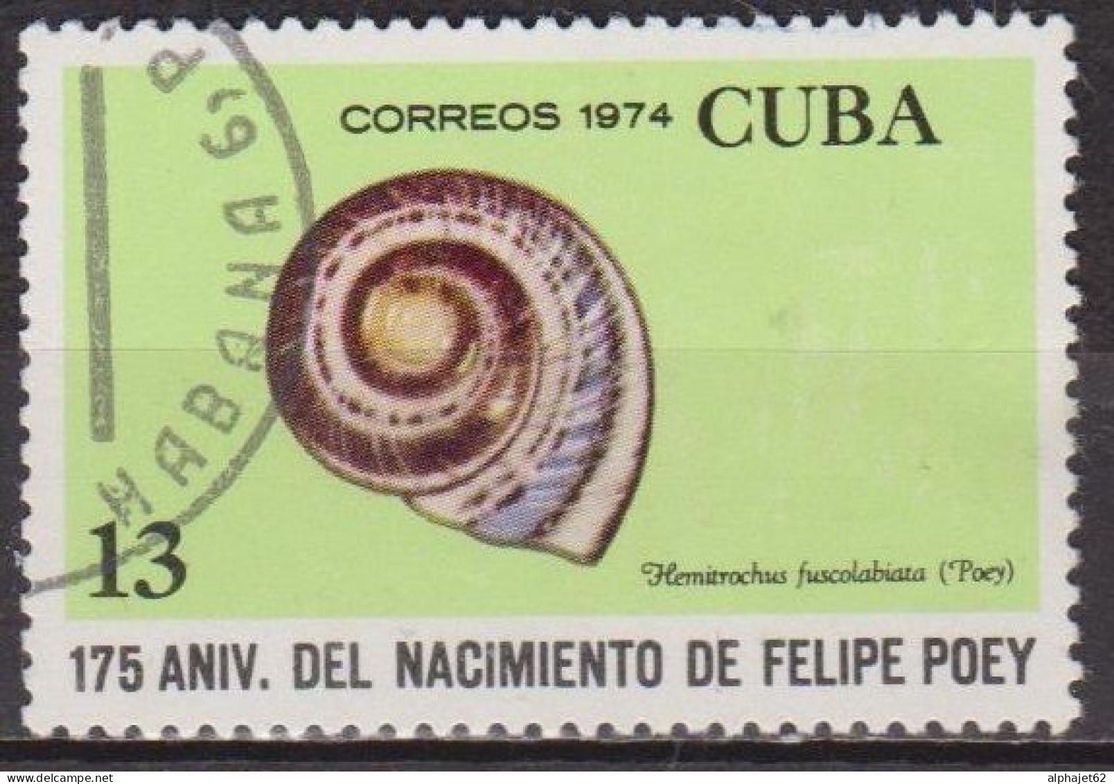 Coquillage - CUBA - N° 1772 - 1974 - Used Stamps