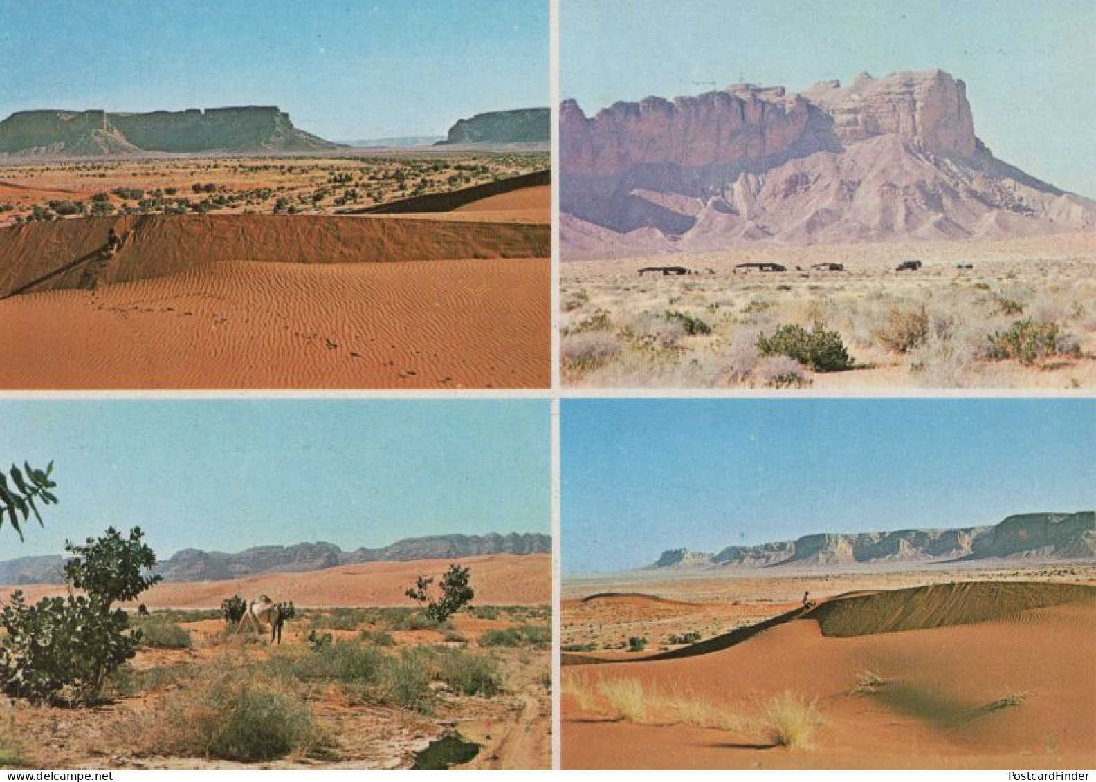 Wadi Awsat Near Riyadh Saudi Arabia Rare Arabic Postcard - Saudi-Arabien