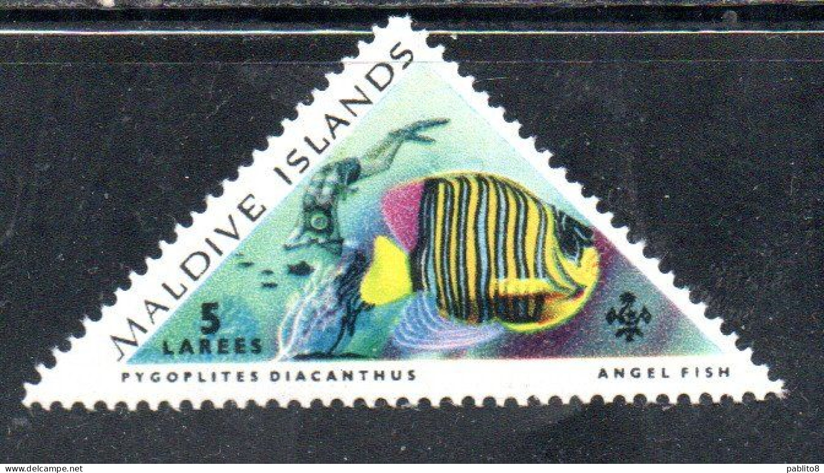 MALDIVES ISLANDS ISOLE MALDIVE BRITISH PROTECTORATE 1963 REGAL ANGEL FISH SULTAN'S CREST SKIN DIVER ANGELFISH 5L MNH - Maldives (...-1965)