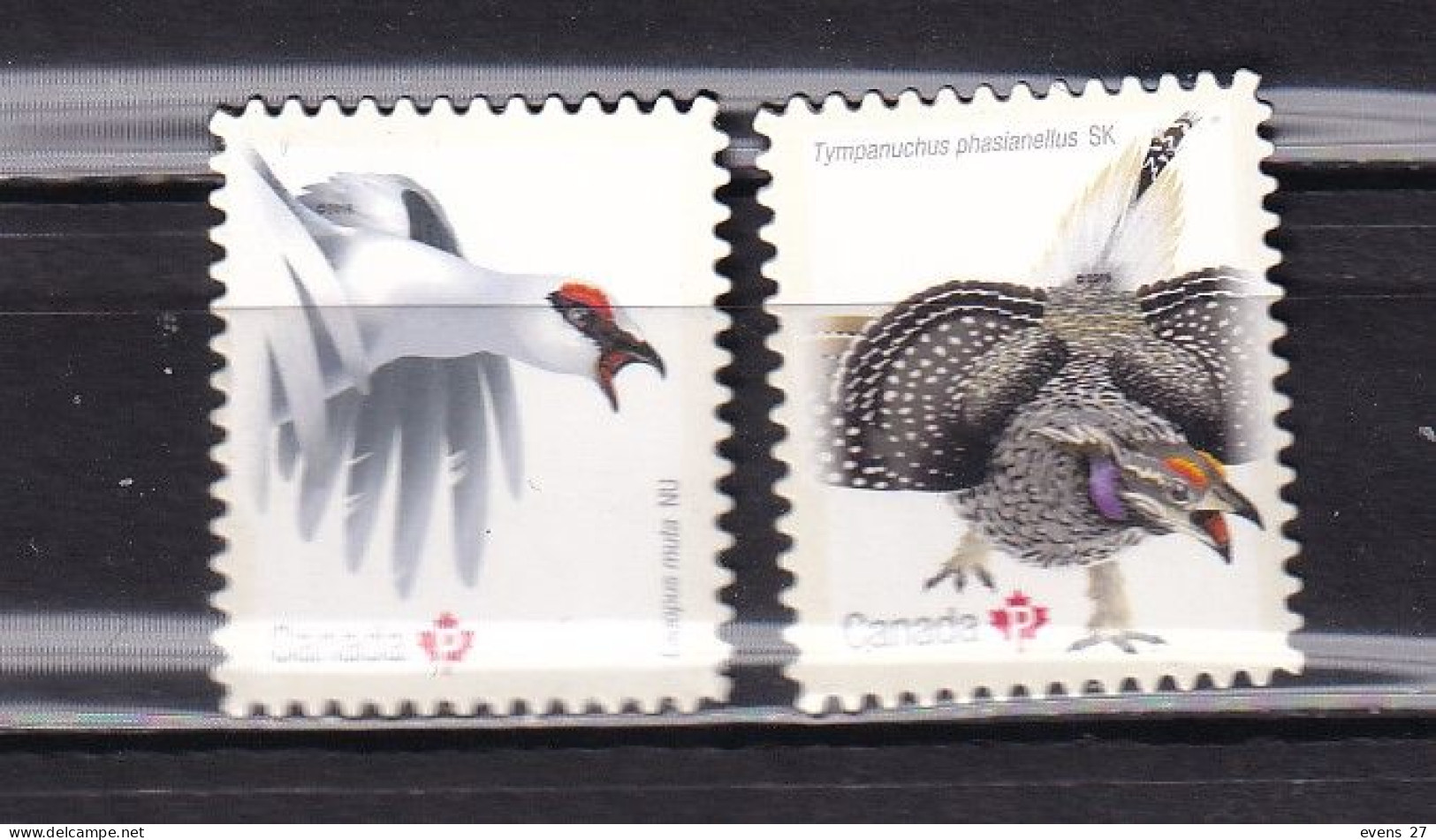 CANADA-2016-- BIRDS--MNH - Ungebraucht