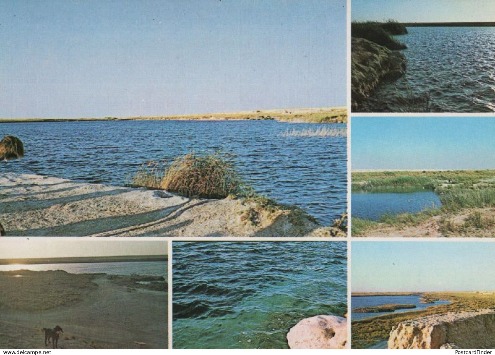 Leyla Lakes Riyadh Saudi Arabia Rivers Rare Arabic Postcard - Arabia Saudita