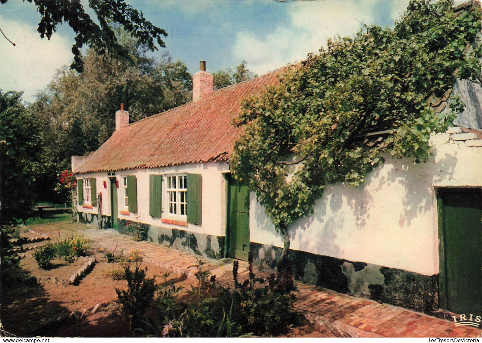 BELGIQUE - Koksijde - Ancienne Ferme - Carte Postale - Koksijde