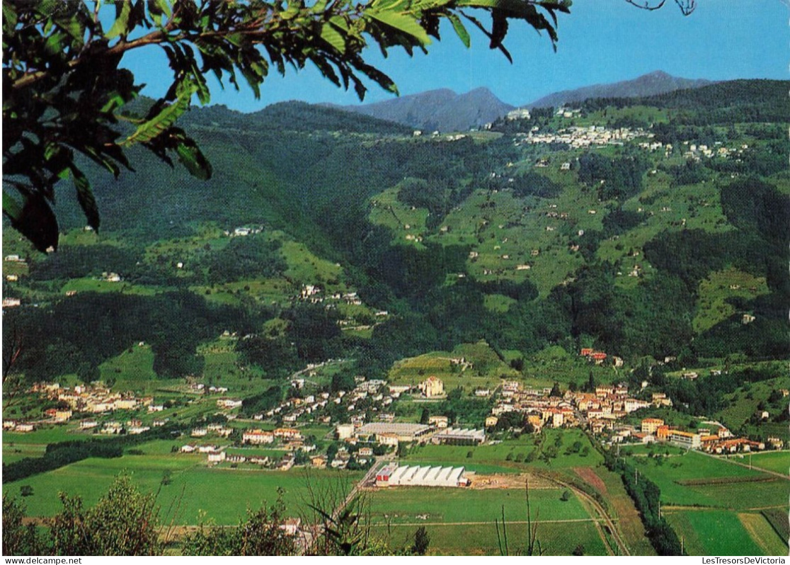 SUISSE - Bioggio - In Alto Cademario - Carte Postale - Melide