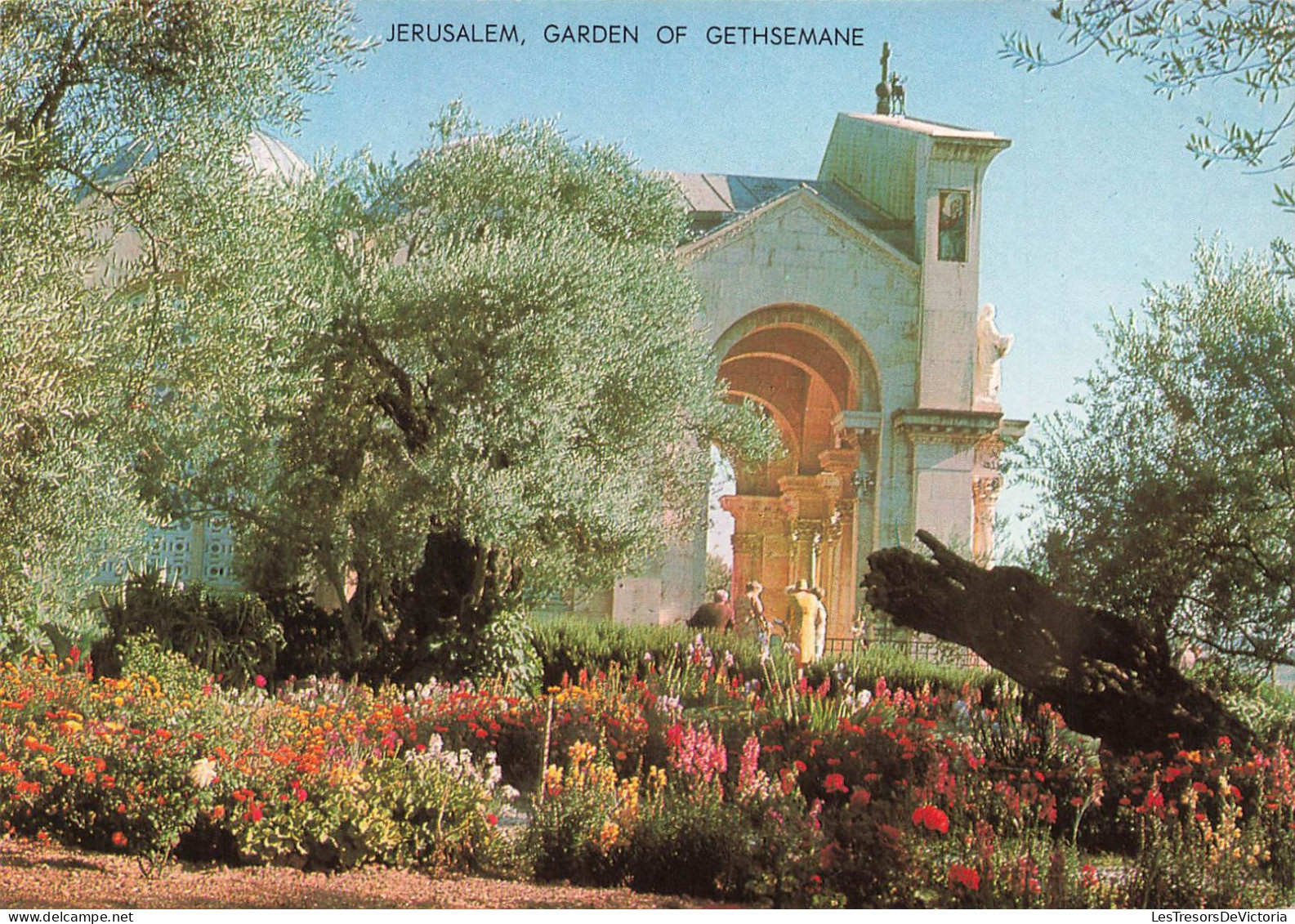 PALESTINE - Jerusalem - Garden Of Gethsemane - Carte Postale - Palestine