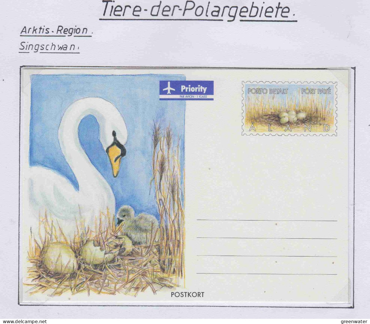 Aland Arctic Animals Singschwan Unused (PD151A) - Faune Arctique