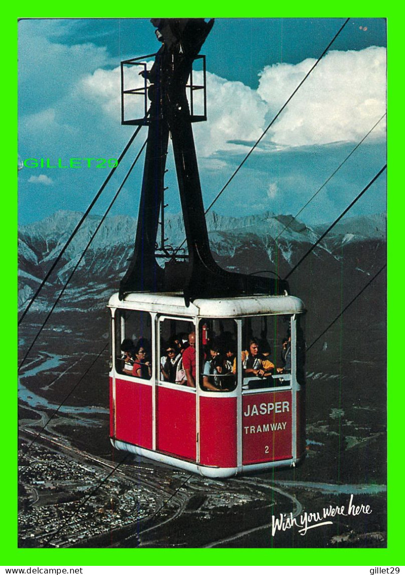 JASPER, ALBERTA - JASPER TRAMWAY - JASPER NATIONAL PARK - MAJESTIC POST CARD - - Jasper