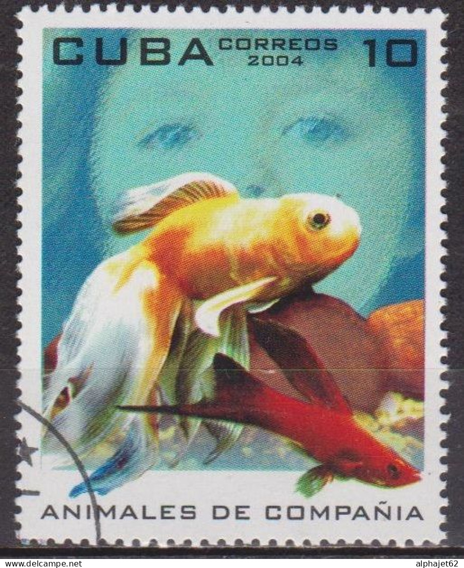 Faune - Poisson - CUBA - Aquarium - N° 4177 - 2004 - Used Stamps
