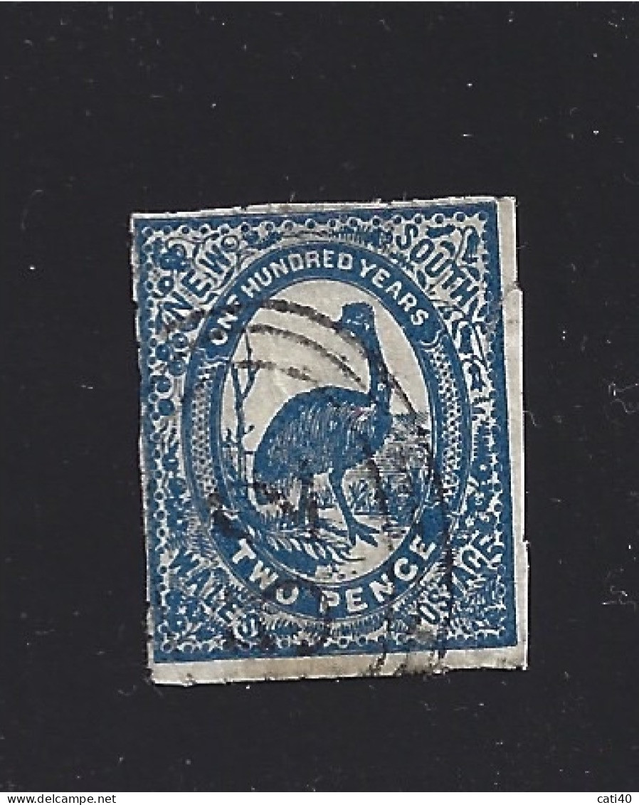 1888 NUOVO SUD WALES Centenario Emu Due Pence Blu - Gansos