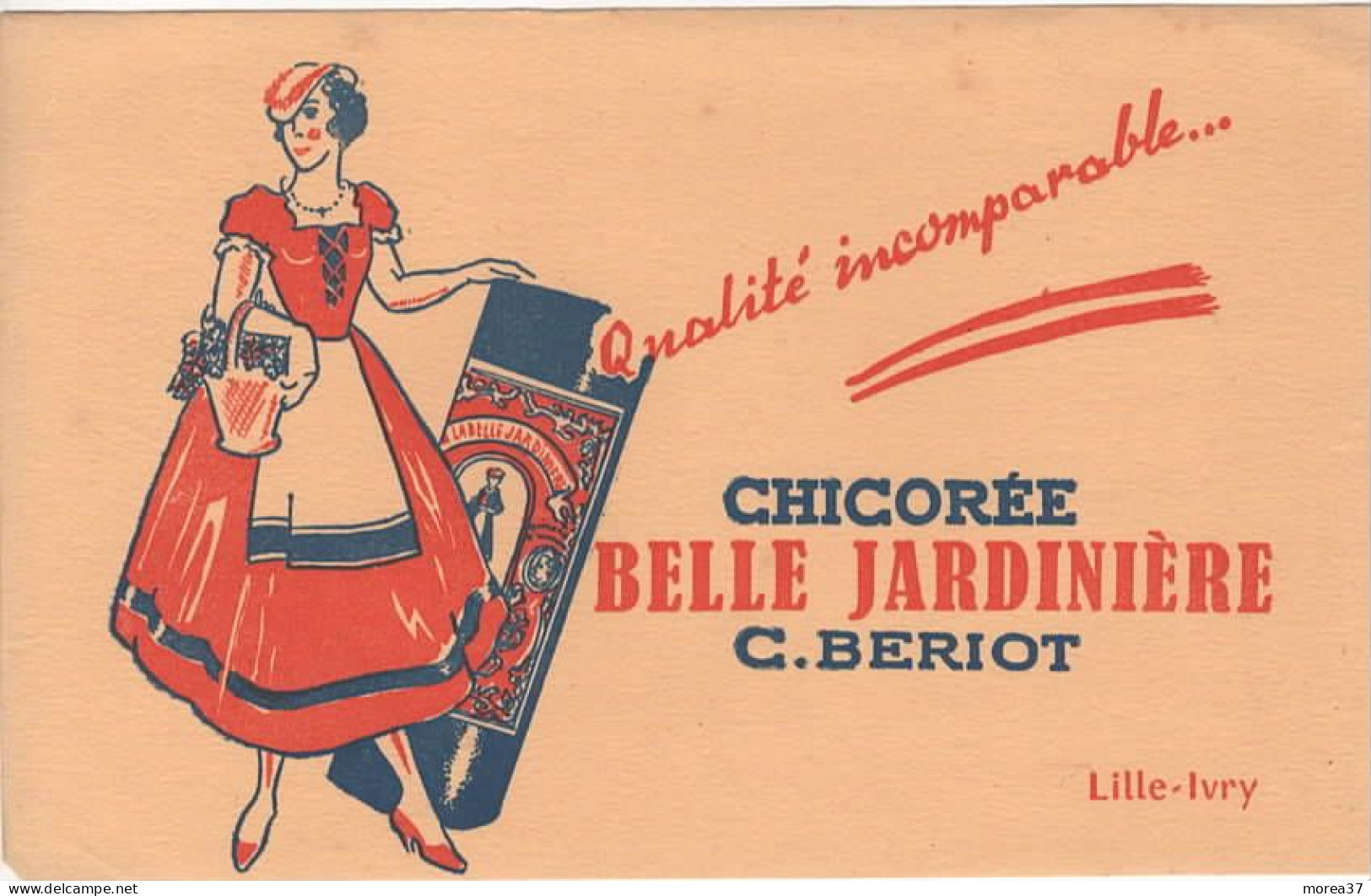 BUVARD CHICOREE BELLE JARDINIERE - Café & Thé