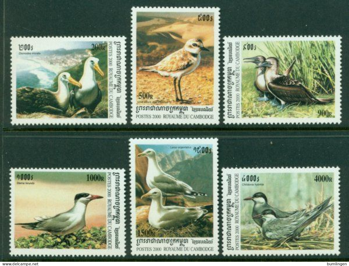 CAMBODIA 2000 Mi 2078-83** Sea Birds [B159] - Palmípedos Marinos