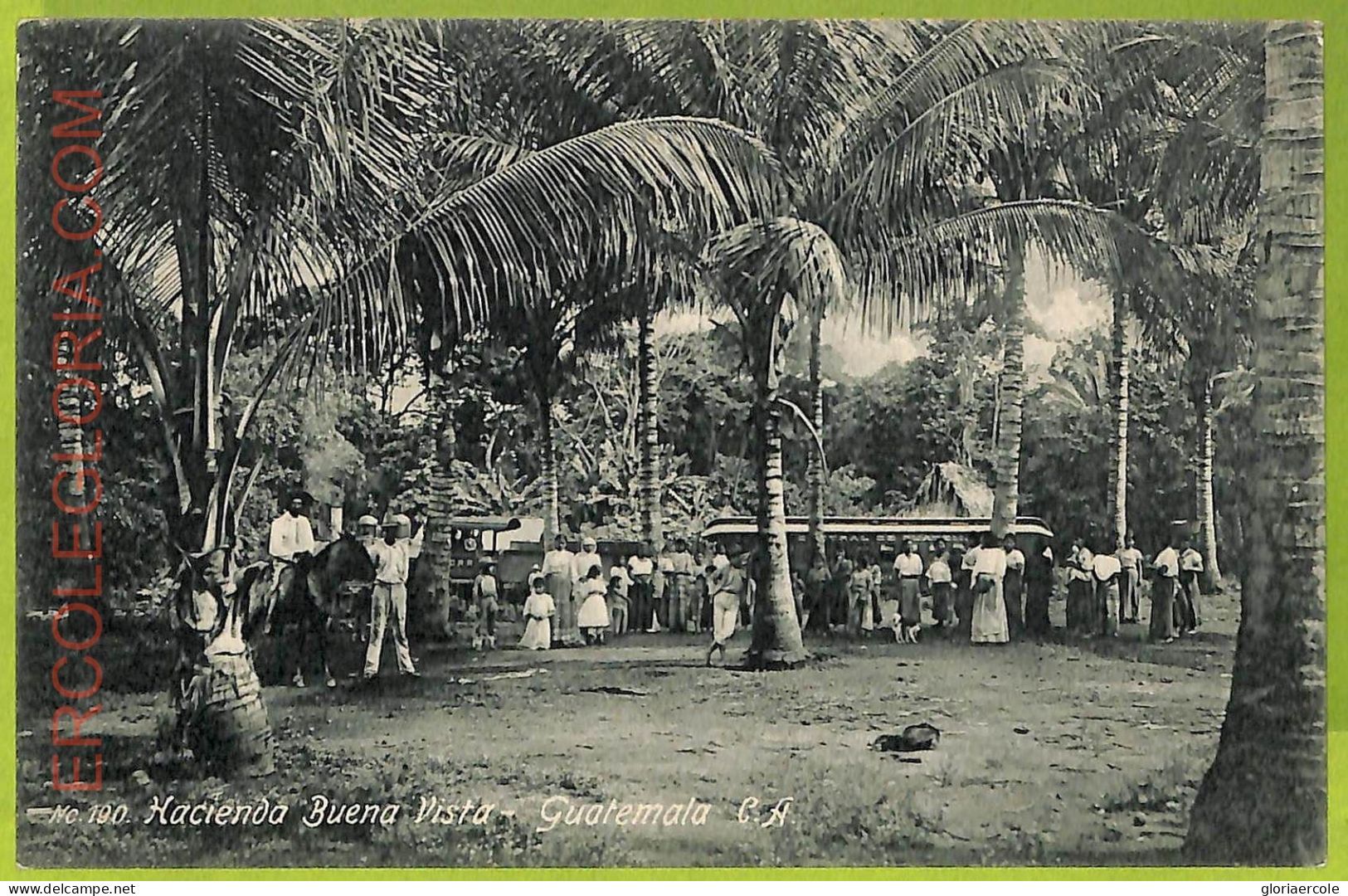 Af2489 - GUATEMALA - VINTAGE POSTCARD -  Ethnic - Amérique