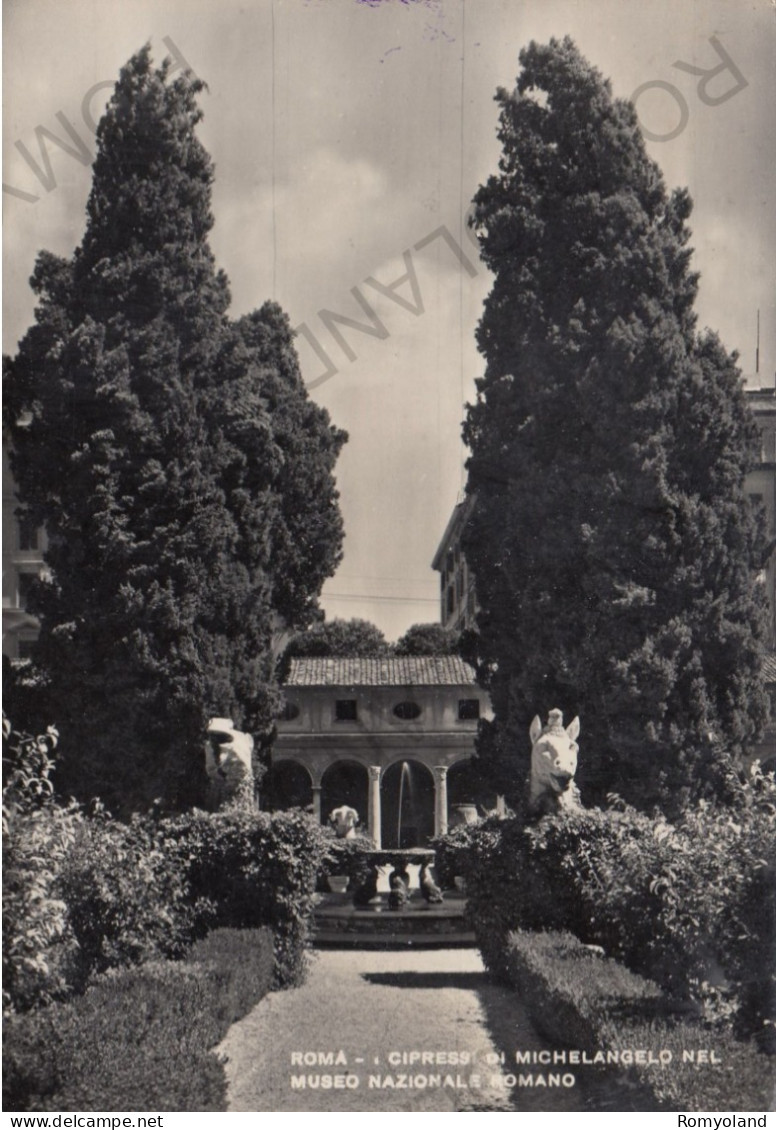 CARTOLINA  ROMA,LAZIO-CIPRESSI DI MICHELANGELO NEL MUSEO NAZIONALE ROMANO-MEMORIA,CULTURA,RELIGIONE,VIAGGIATA 1954 - Musei