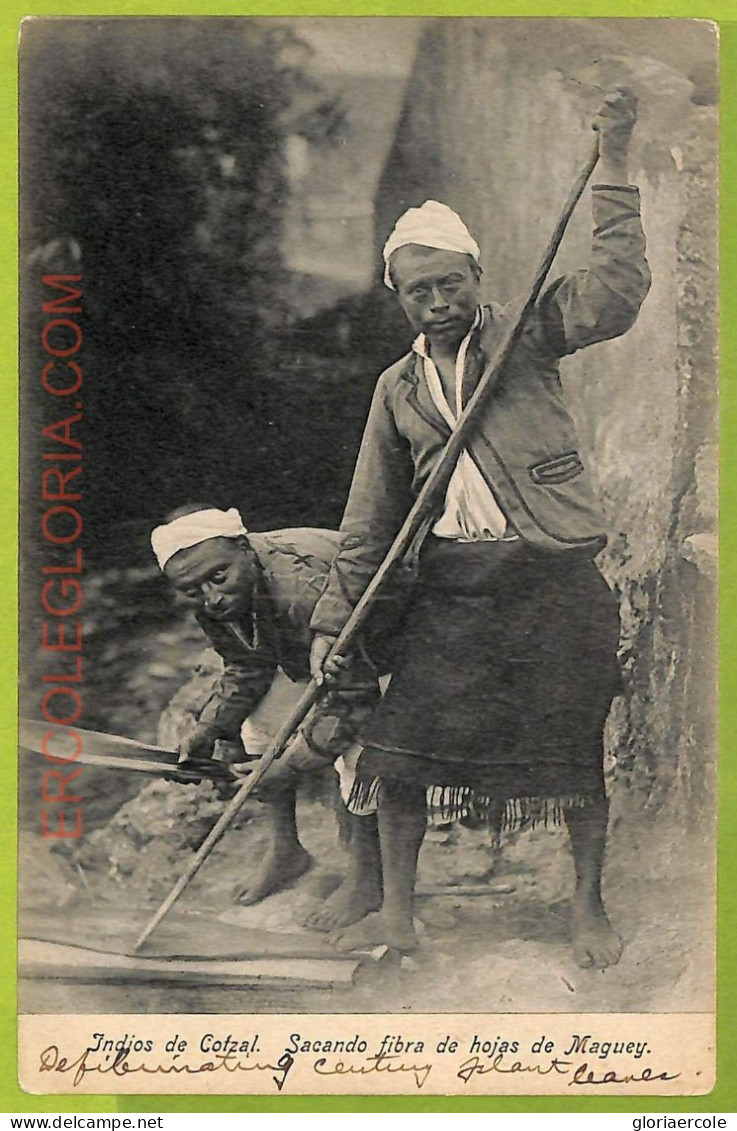 Af2492 - GUATEMALA - VINTAGE POSTCARD - Indios, Ethnic - Amerika