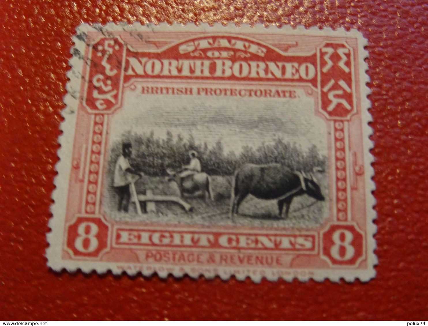 BORNEO DU NORD 1909-11 - Noord Borneo (...-1963)