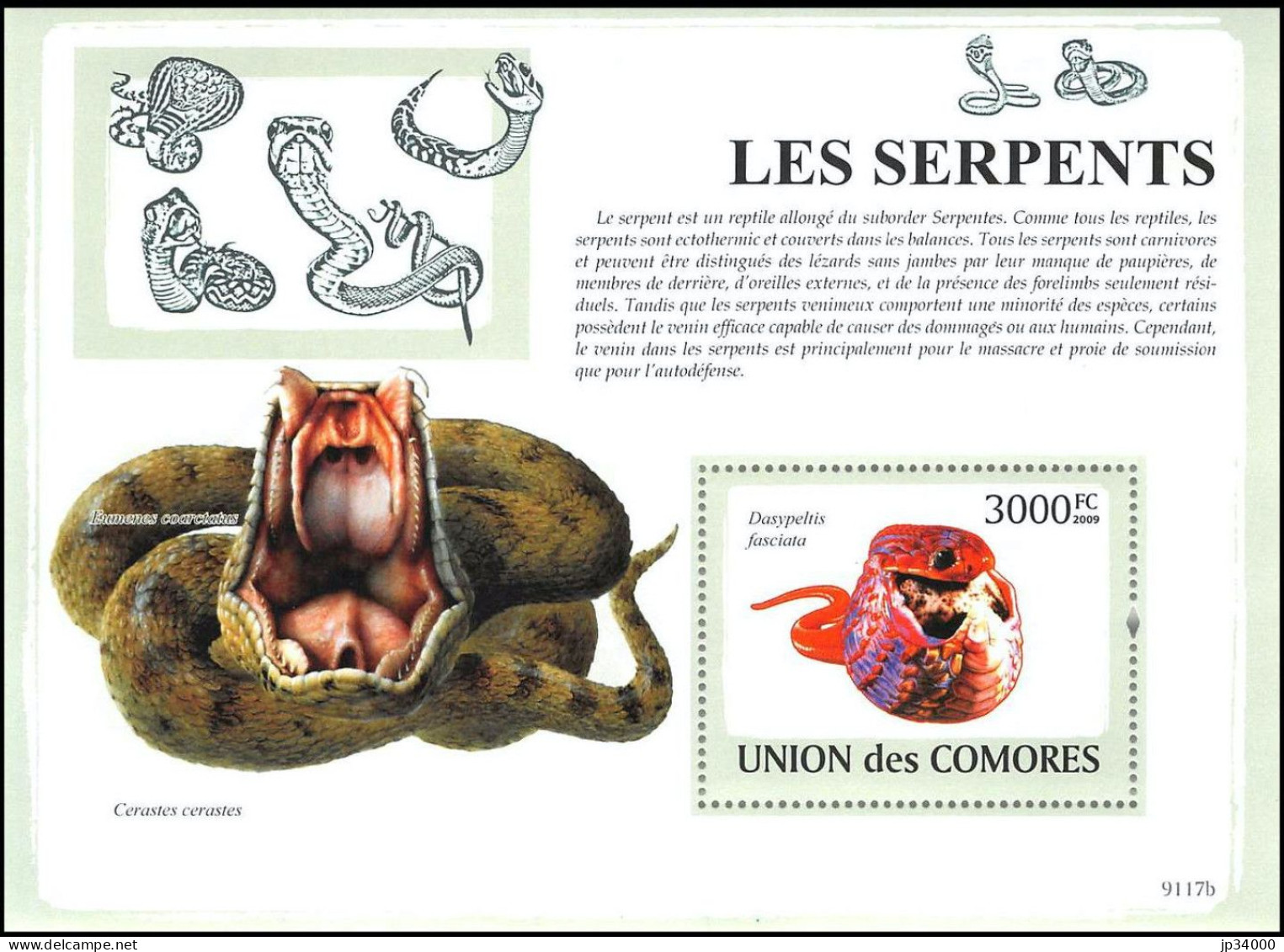 COMORES Reptiles, Reptile, Serpents,Vipère à Cornes Dasypeltis Serpent Serpents Snakes Snake Yvert BF 167** MNH - Serpents