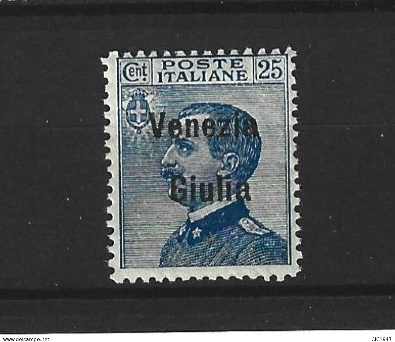 Occupazioni Venezia Giulia Il 25 Cent. Nuovo Mnh**( Note ) - Venezia Giuliana