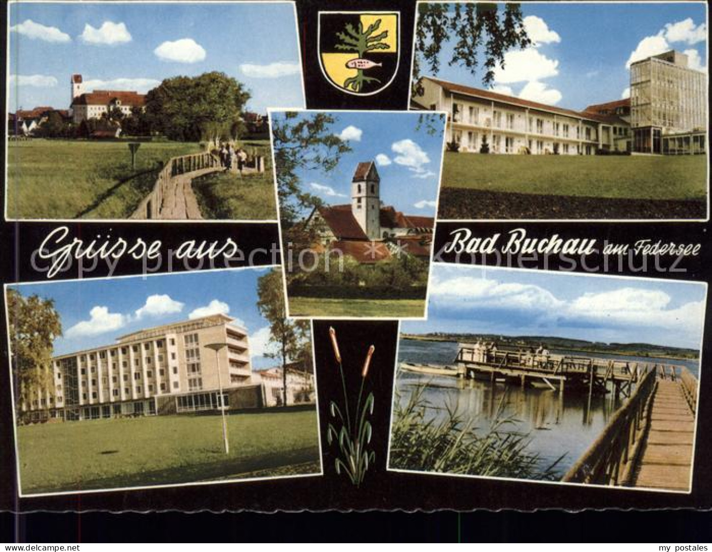 41573911 Bad Buchau Federsee Ansichten Wappen Federsee Bad Buchau - Bad Buchau