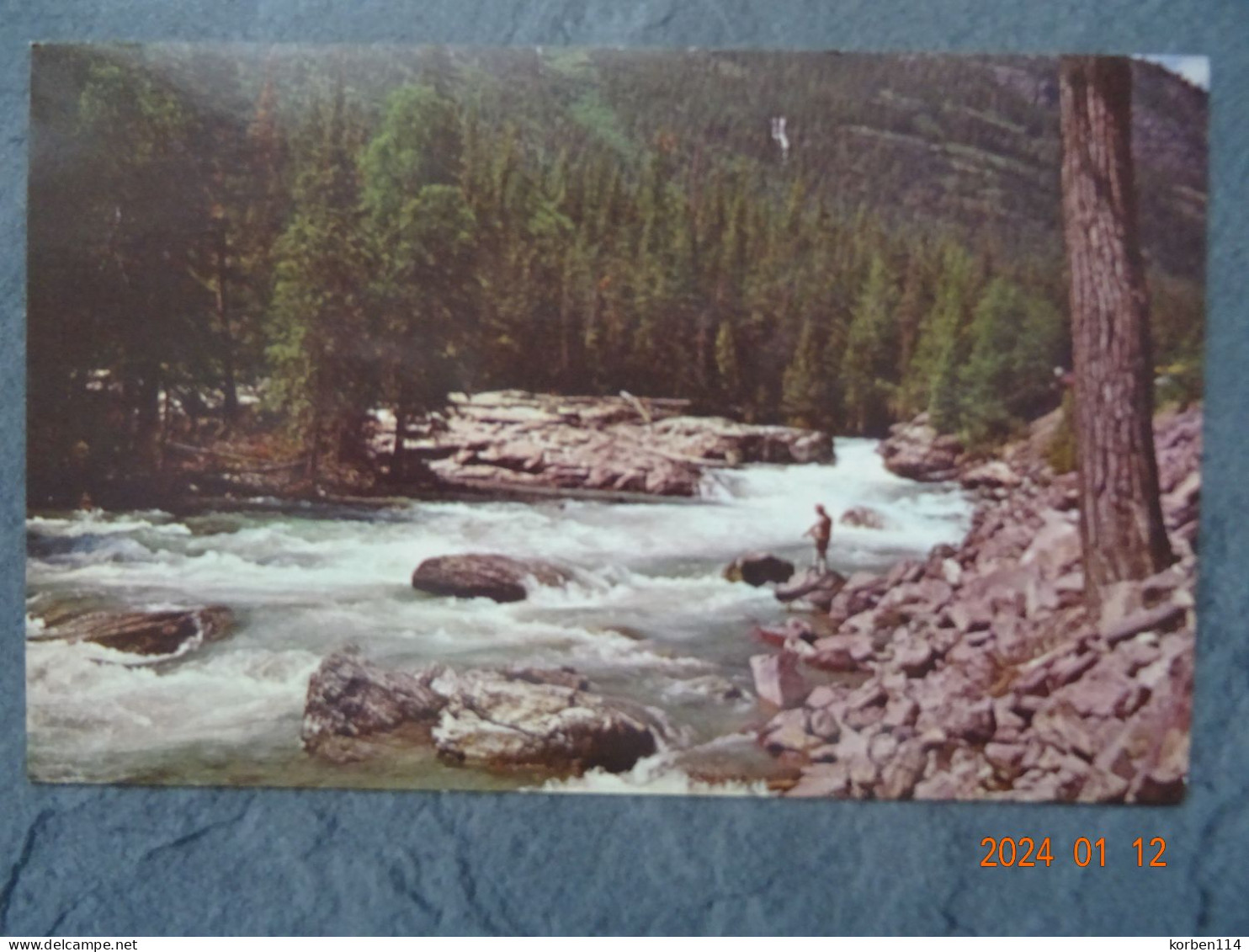 MCDONALD CREEK   GLACIER NATIONAL PARK - Andere & Zonder Classificatie