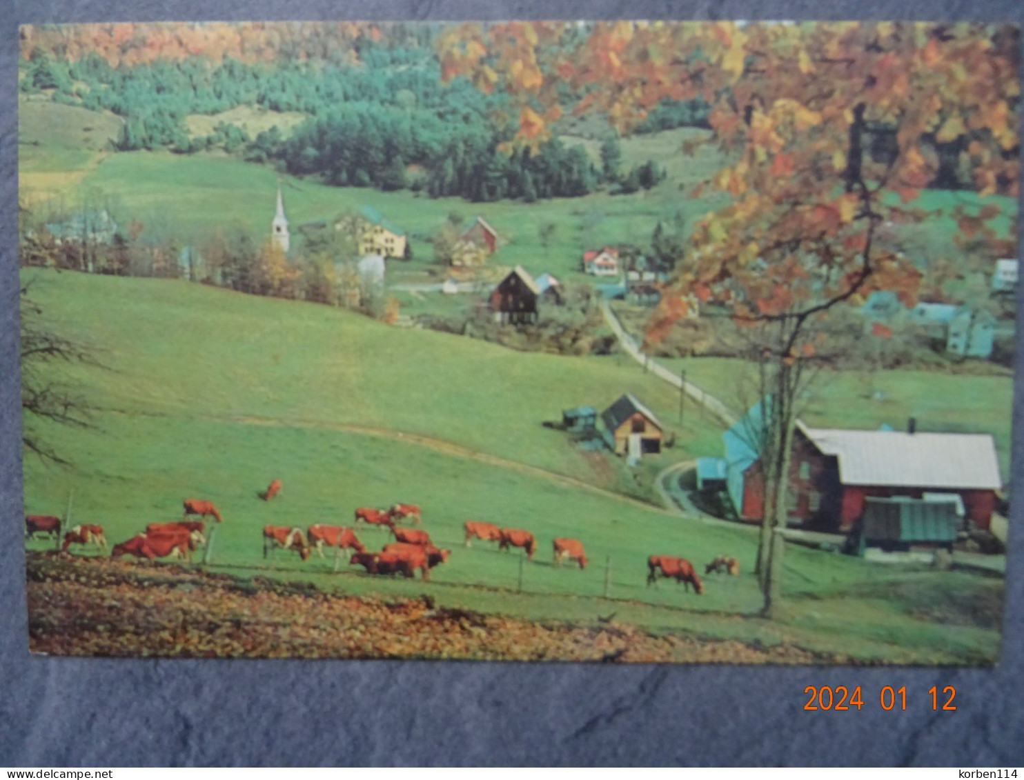 A PICTURESQUE COUNTRY VILLAGE - Yellowstone