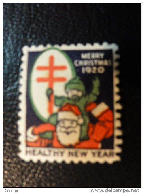 1920 Santa Claus Vignette Christmas Seals Seal Label Poster Stamp USA - Unclassified