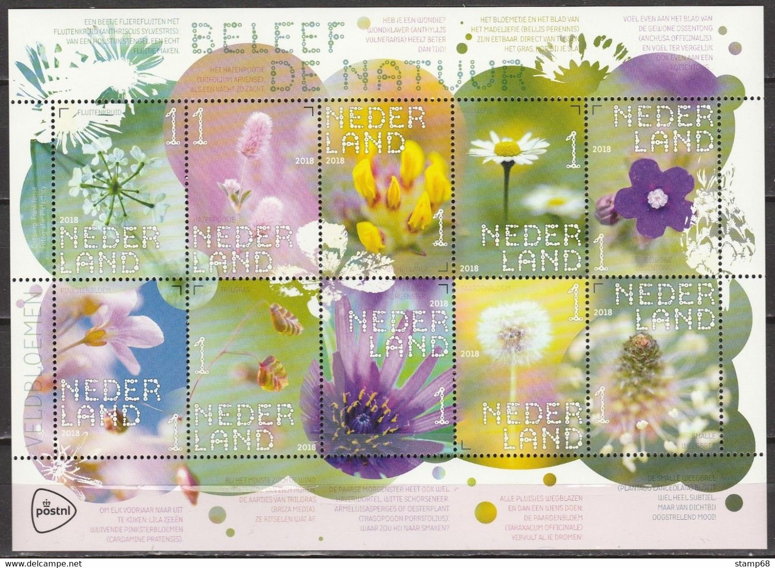 Nederland NVPH 3632-41 Vel Beleef De Natuur Veldbloemen 2018 MNH Postfris - Ongebruikt