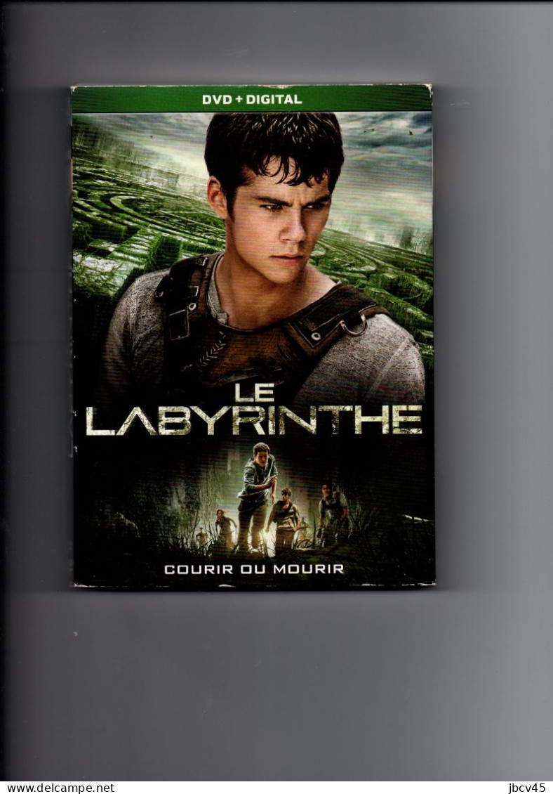 DVD  LE LABYRINTHE - Drame