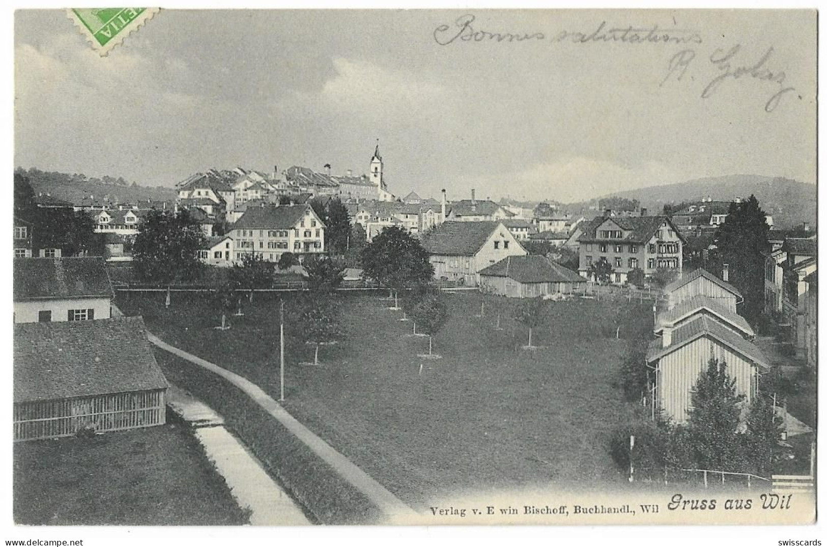 Gruss Aus WIL: Aussenquartier Mit Obstbaumwiese 1908 - Wil