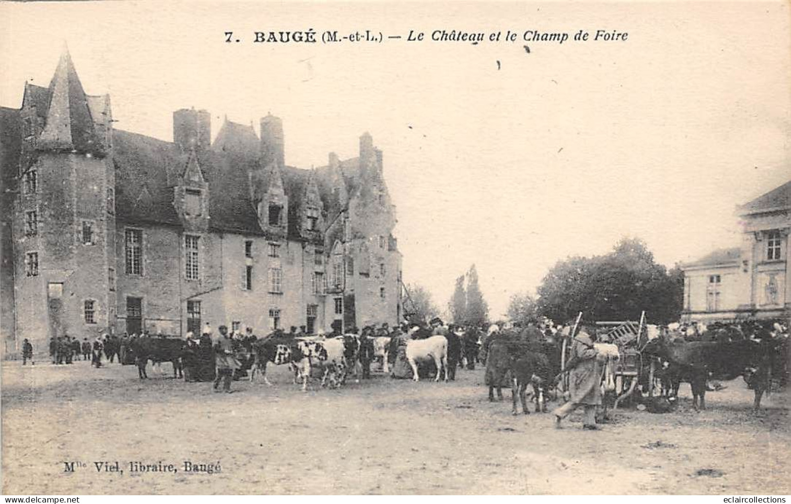 Baugé         49         Le Chateau Et Le Champ De Foire Aux Bestiaux    N° 7   (voir Scan) - Other & Unclassified