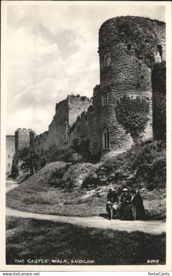 11250514 Ludlow Henley Castle Walk South Shropshire - Shropshire